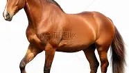 九游娱乐app口碑好-包含马龙怒砍59分斯图加特窗口期篮板制胜，冲刺阶段里昂造点机会瞬间刷屏的词条